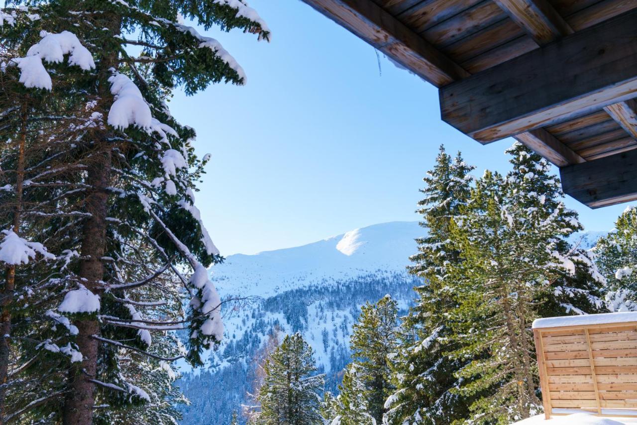 Luxalps- Turrach Alm Chalets Nr 1-4 Gruensee- Sauna- Skifahren- Wandern- Natur ทูร์ราคาฮัว ภายนอก รูปภาพ