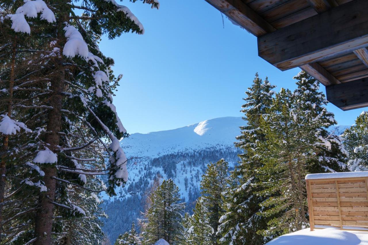 Luxalps- Turrach Alm Chalets Nr 1-4 Gruensee- Sauna- Skifahren- Wandern- Natur ทูร์ราคาฮัว ภายนอก รูปภาพ